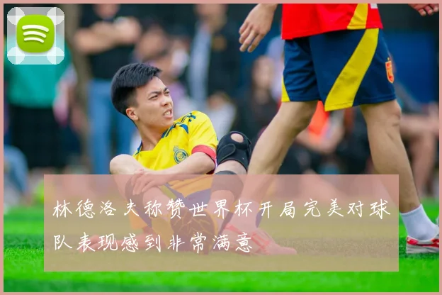 林德洛夫称赞世界杯开局完美对球队表现感到非常满意